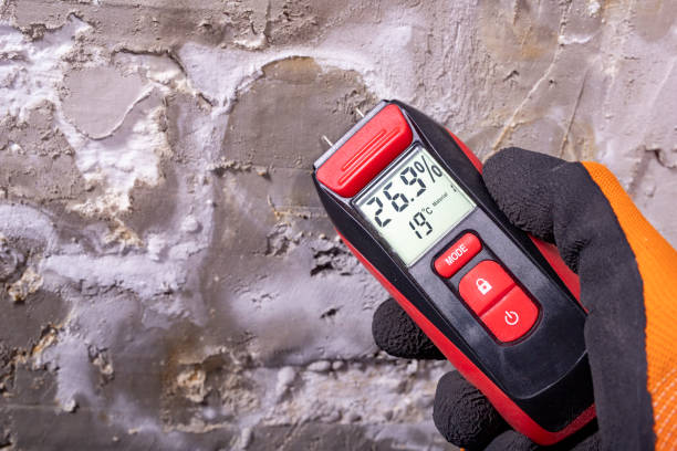 Best Mold Remediation  in Twin Rivers, NJ