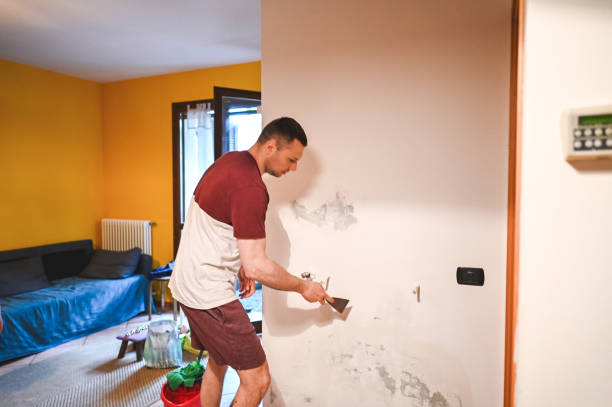 Best Local Mold Removal Service  in Twin Rivers, NJ
