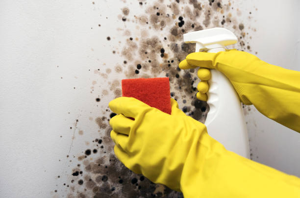 Best Residential Mold Removal  in Twin Rivers, NJ