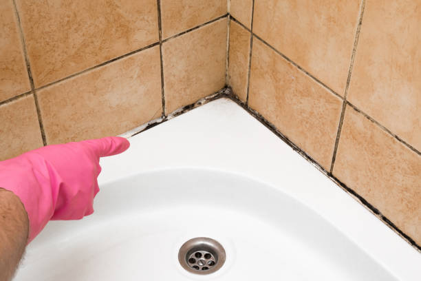 Best Attic Mold Removal  in Twin Rivers, NJ